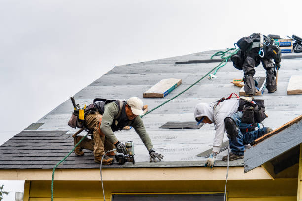 Professional Roofing technician working in Solway, MN